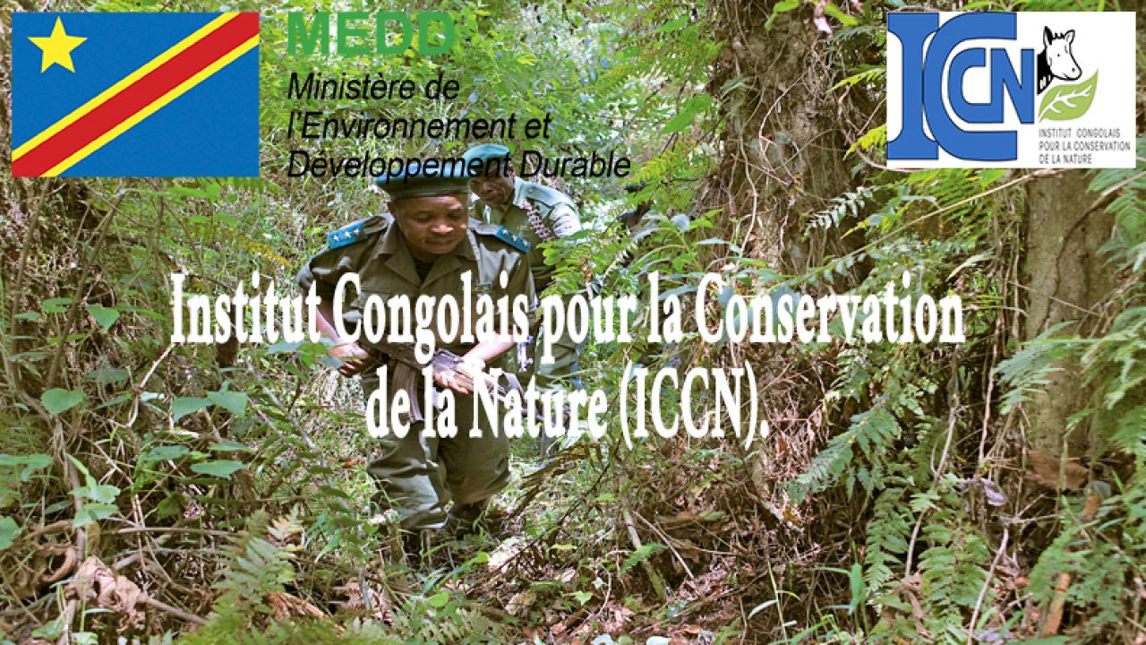 Institut Congolais pour la Conservation de la Nature ICCN