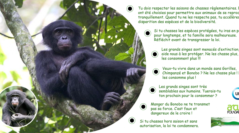 Textes légaux sur la conservation des grands singes en RDC
