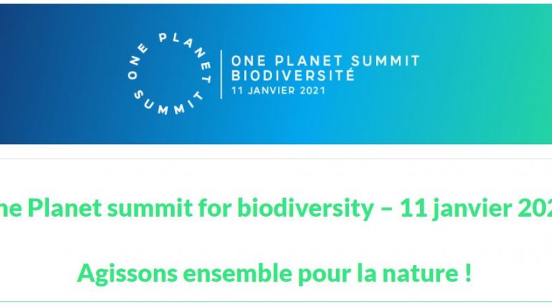 One-planet-summit-for-biodiversity-11-janvier-2021-Agissons-ensemble-pour-la-nature.jpg
