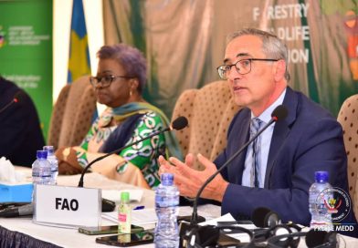 Environnement et Développement : La RDC assurera pour deux ans la Présidence de Commission des Forêts et Faune Sauvage pour l’Afrique(CFFSA)