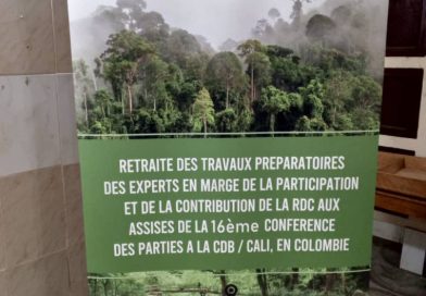 Biodiversité/RDC : Travaux préparatoires à la CoP16 Colombie