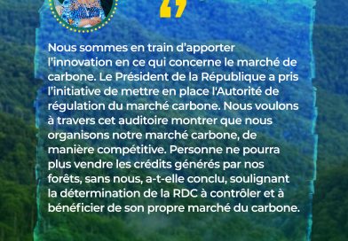 Résumé de la participation de RDC à la COP30 à travers S.E Madame la Ministre de l’EDD-NEC, Professeure Marie Nyange Ndambo