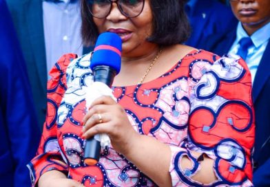 Environnement : Fonctionnement des structure et Gestion du personnel Environnement : Fonctionnement des structure et Gestion du personnel