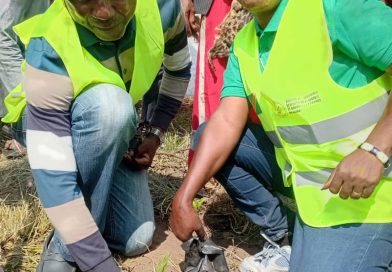 RÉSUMÉ DE LA CÉLÉBRATION DE LA JOURNÉE DE L’ARBRE RÉSUMÉ DE LA CÉLÉBRATION DE LA JOURNÉE DE L’ARBRE