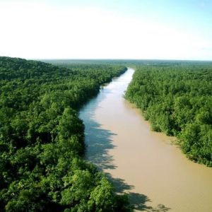 Forêt : Le Gouvernement adopte le programme « La forêt, c’est nous » pour restaurer 8 millions d’hectares de forêts d’ici 2030