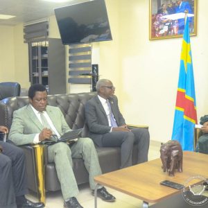 Le PNUD et le Gouvernement évaluent les projets environnementaux et climatiques en cours en RDC