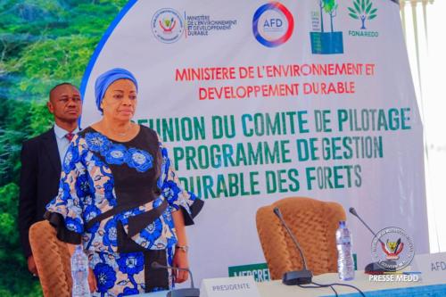 Programme de Gestion Durable des Forêts en RDC (PGDF)
